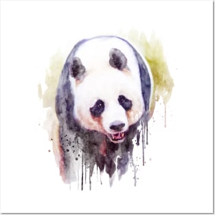 Watercolor Painting - Cute Panda Bear Posters and Art